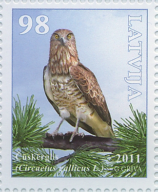 Čūskērglis