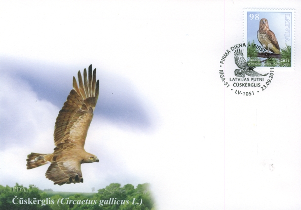 Čūskēŗglis aploksne