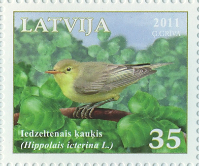 Iedzeltenais ķauķis